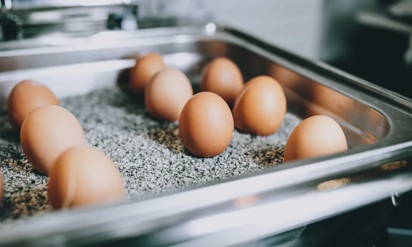 Eier auf einem Bett aus grauem Material in einer Edelstahlschale